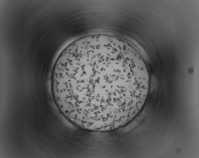 X0000102860812200809081305