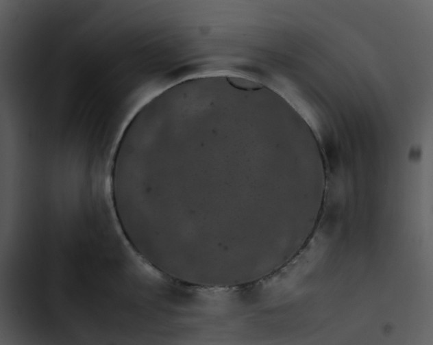 X0000102860813200809081305