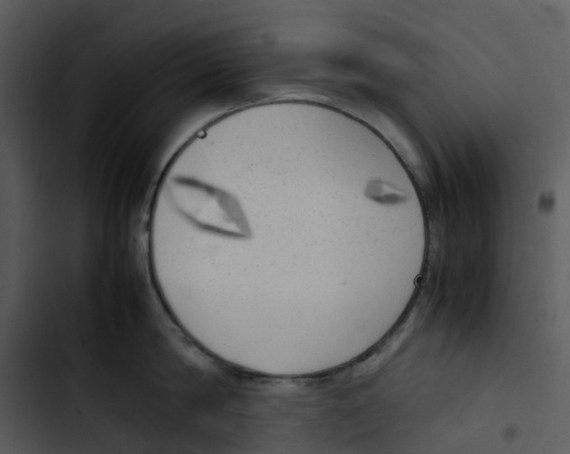 X0000102860814200809081305