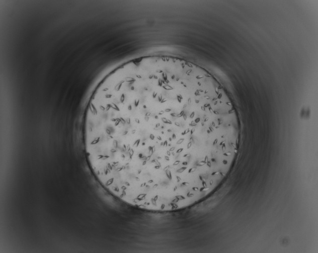 X0000102860816200809081305