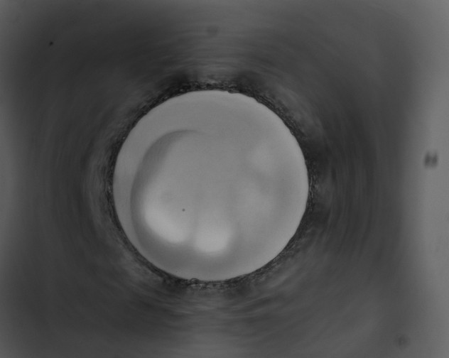 X0000102860817200809081304