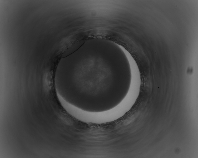 X0000102860818200809081304