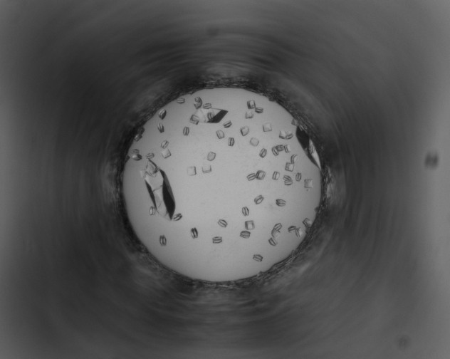 X0000102860819200809081304