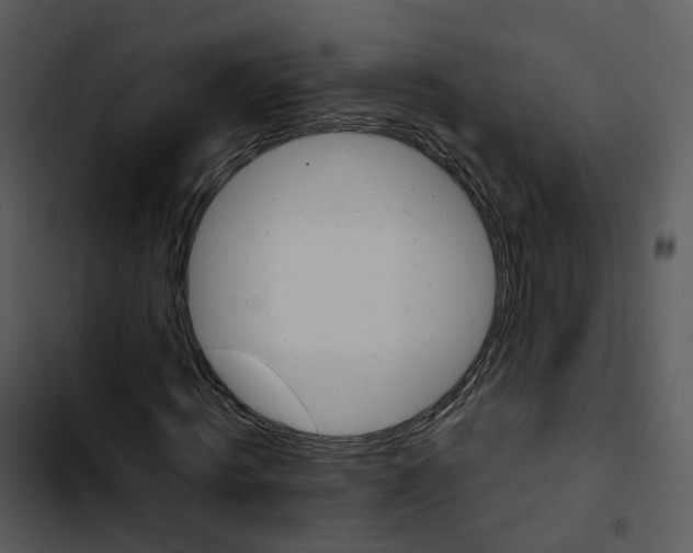 X0000102860820200809081304