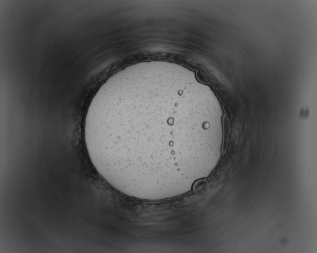 X0000102860821200809081304