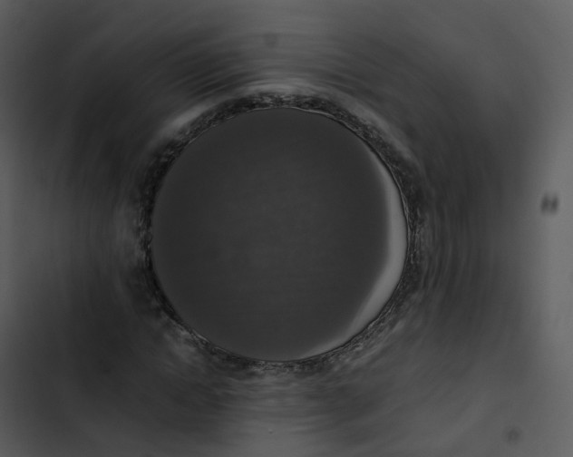 X0000102860822200809081304