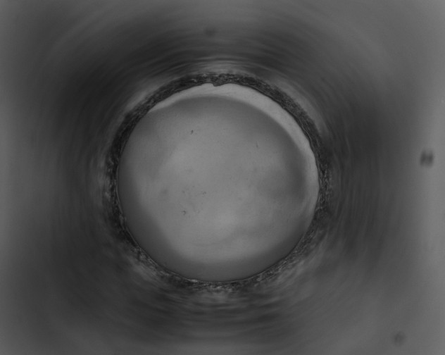 X0000102860823200809081304