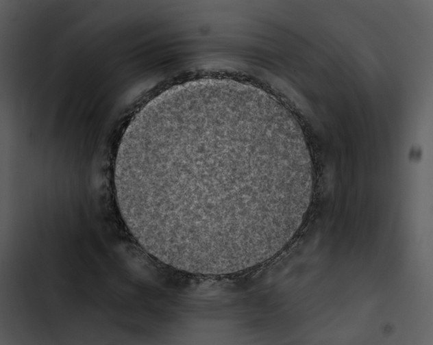 X0000102860824200809081304