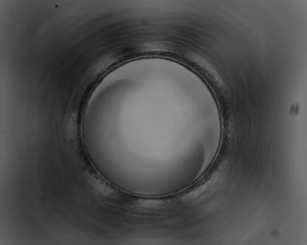 X0000102860825200809081304