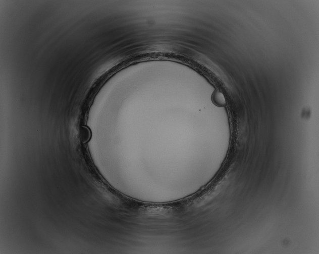 X0000102860826200809081304