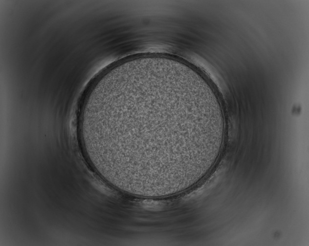 X0000102860827200809081304