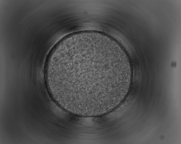 X0000102860828200809081304