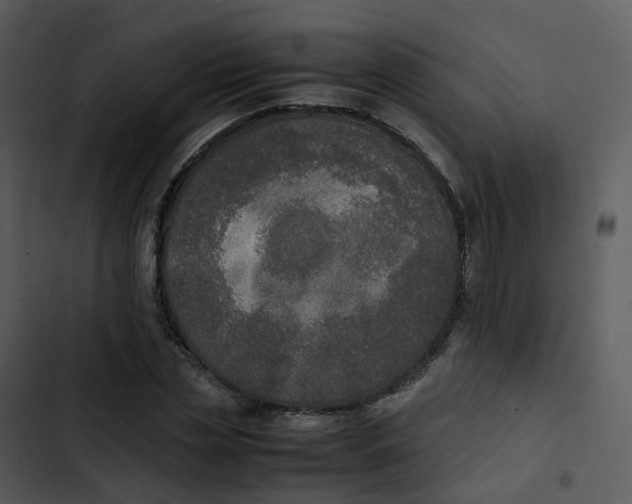 X0000102860829200809081304