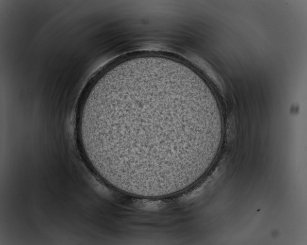 X0000102860831200809081304