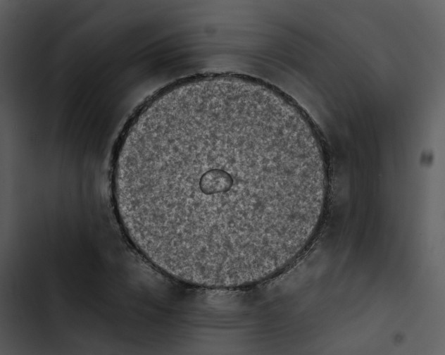 X0000102860832200809081304