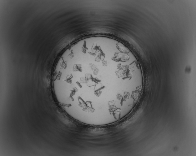 X0000102860833200809081304