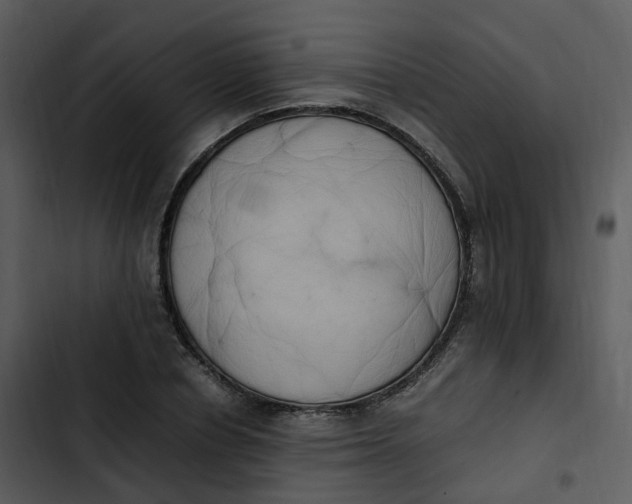 X0000102860834200809081304