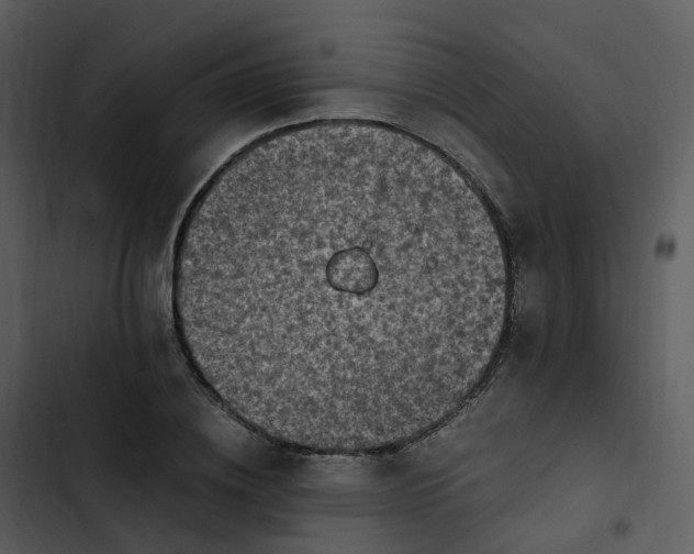 X0000102860836200809081304