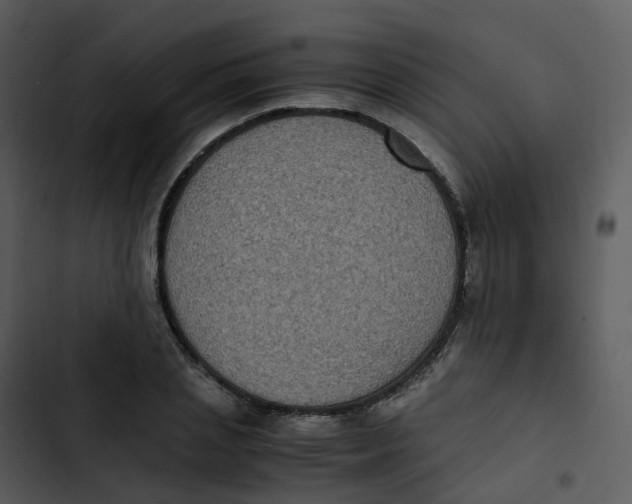 X0000102860837200809081304