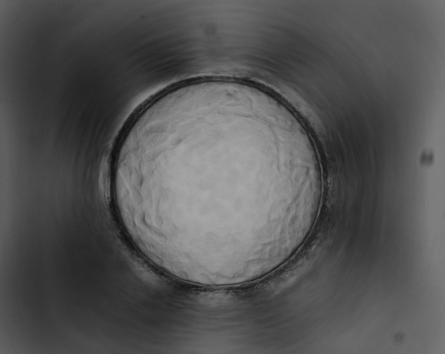 X0000102860838200809081304