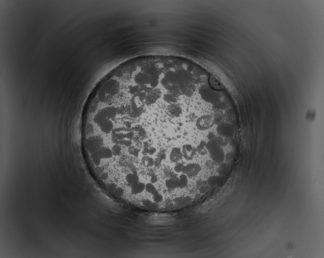 X0000102860839200809081304