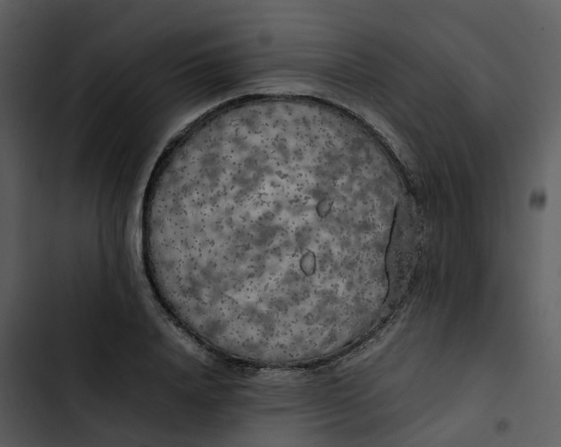 X0000102860840200809081304