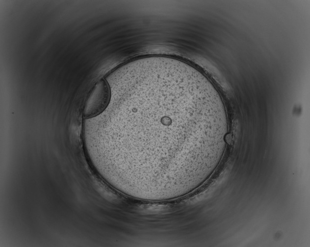 X0000102860841200809081304