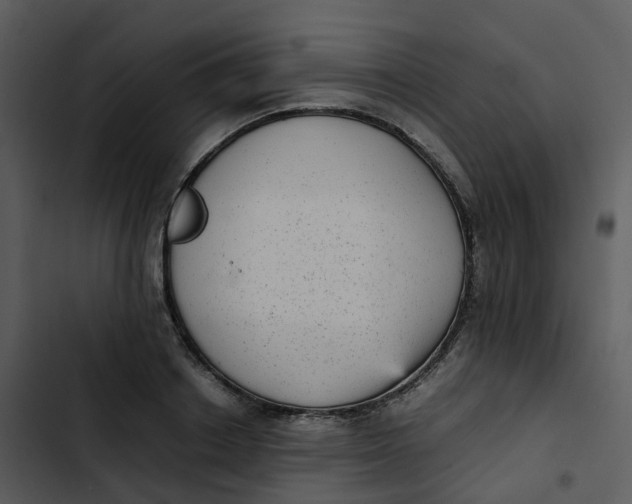 X0000102860842200809081304