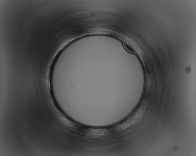 X0000102860843200809081304