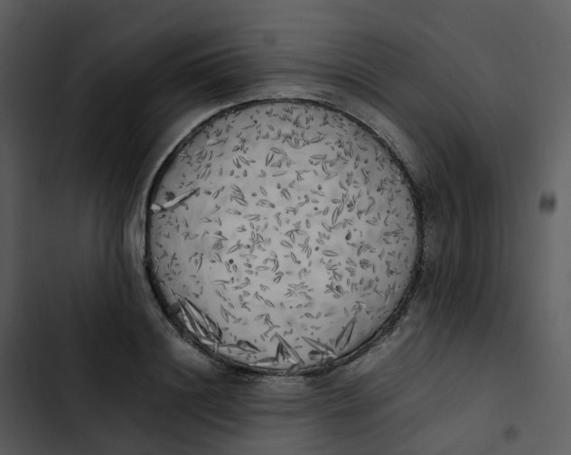 X0000102860844200809081304