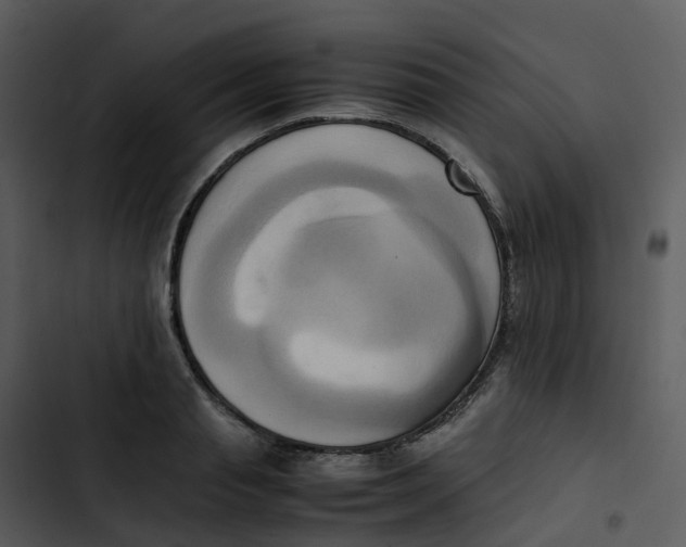 X0000102860845200809081304