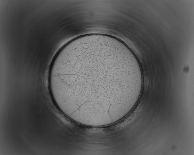 X0000102860846200809081305