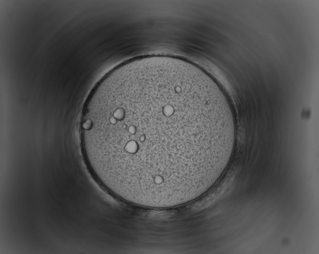 X0000102860847200809081305