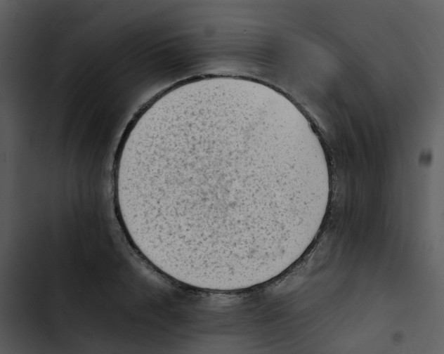 X0000102860848200809081305