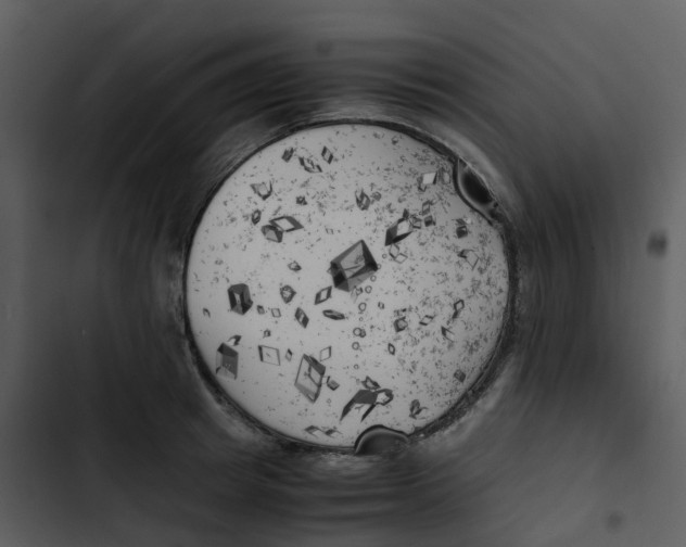 X0000102860849200809081305