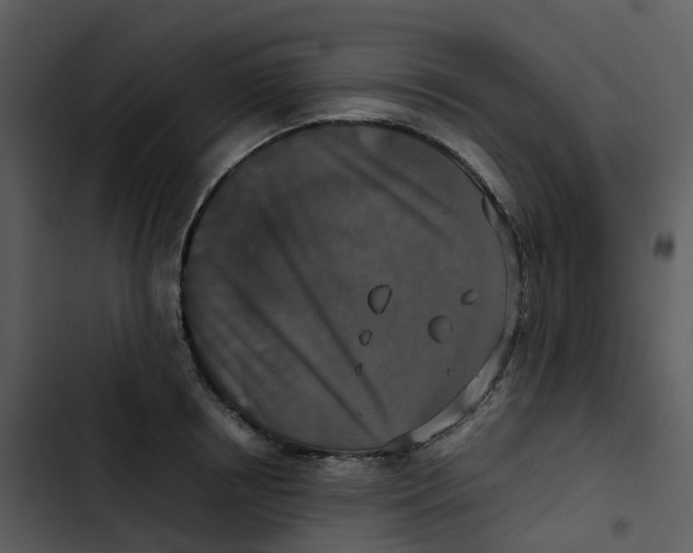 X0000102860850200809081305