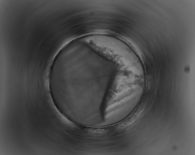 X0000102860851200809081305