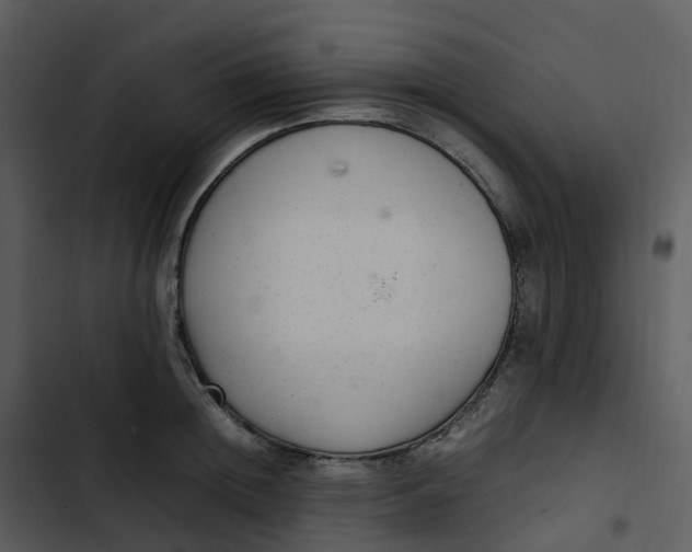 X0000102860852200809081305