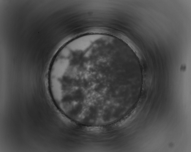 X0000102860853200809081305