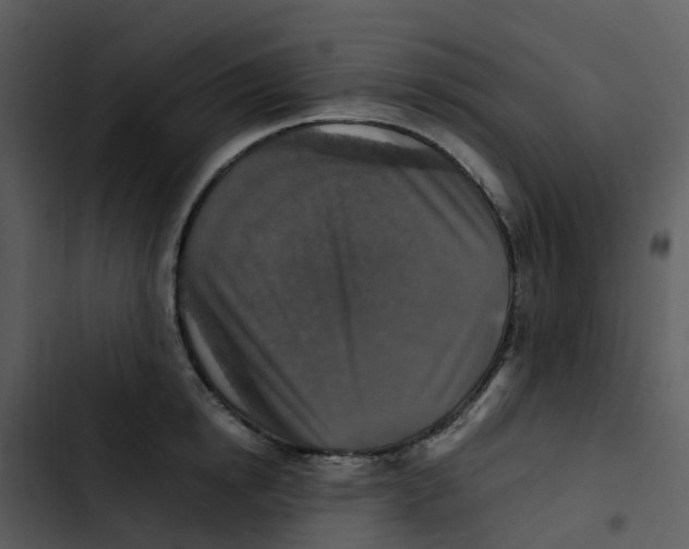 X0000102860854200809081305