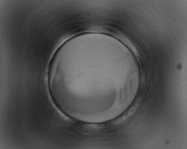 X0000102860855200809081305