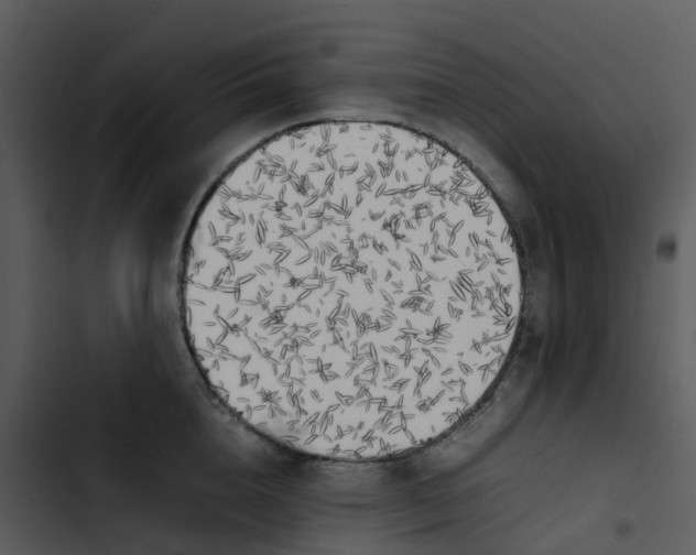 X0000102860856200809081305