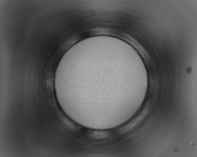 X0000102860857200809081305