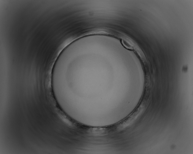 X0000102860858200809081305