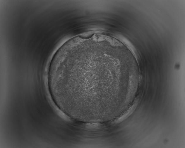 X0000102860859200809081305