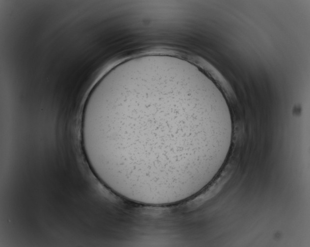 X0000102860860200809081305