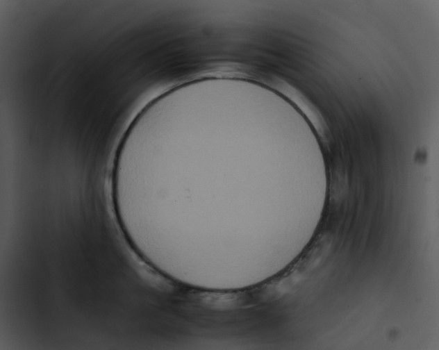 X0000102860861200809081305