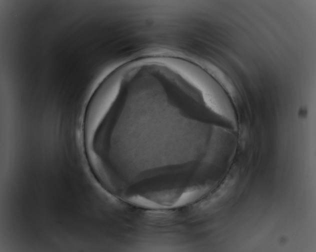 X0000102860863200809081305