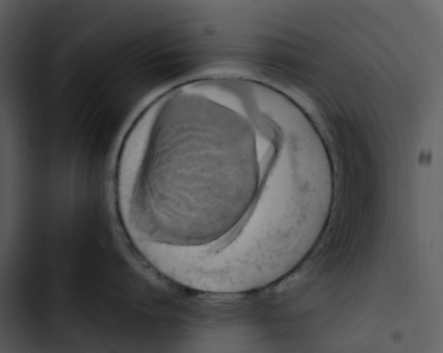 X0000102860864200809081305