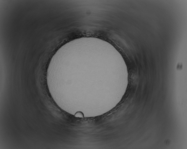 X0000102860865200809081304